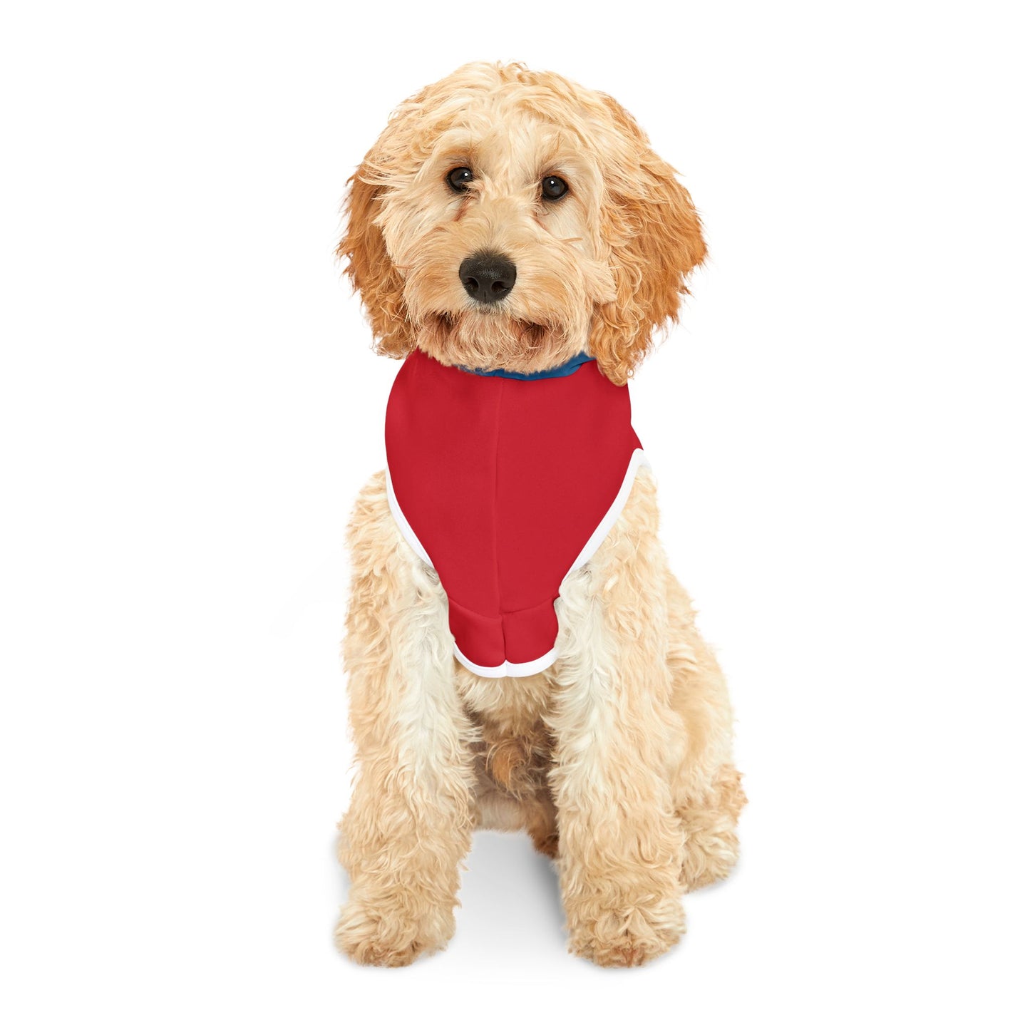 Thing 1 and Thing 2 Inspired Dog Halloween Costumes (Small To Medium Pets)