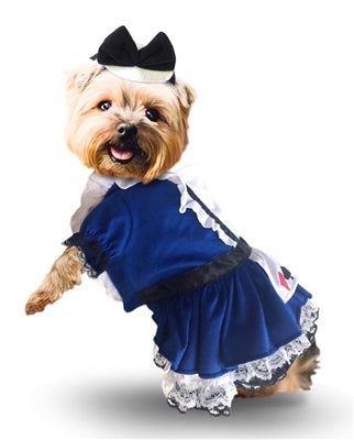 Alice In Wonderland Halloween Costumes For Dogs - For Small To Medium Dogs