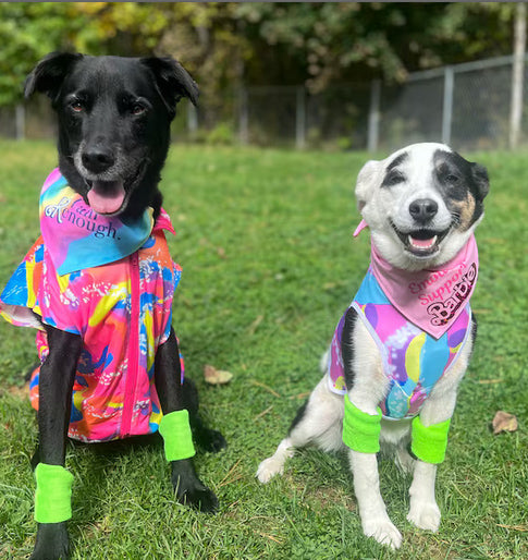 Malibu Barbie and Ken Inspired Halloween Costumes For Dogs - For Small To Medium Dogs