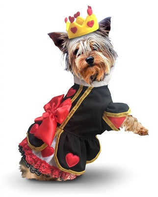 Alice In Wonderland Halloween Costumes For Dogs - For Small To Medium Dogs