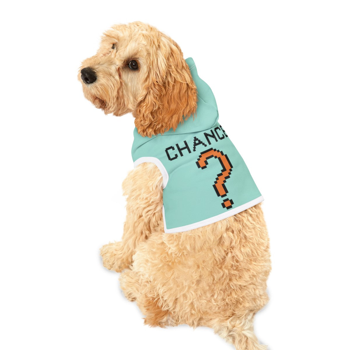 Monopoly Inspired Halloween Costumes For Dogs  - For Small To Medium Dogs