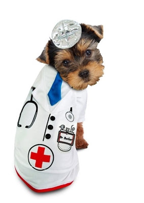 Doctor Halloween Costumes For Dogs  - For Small To Medium Dogs